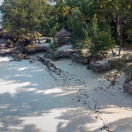 Coco Reef Ecolodge Kizimkazi Exterior photo