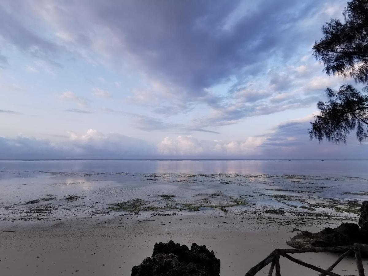 Coco Reef Ecolodge Kizimkazi Exterior photo